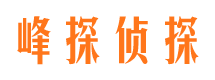 廛河找人公司